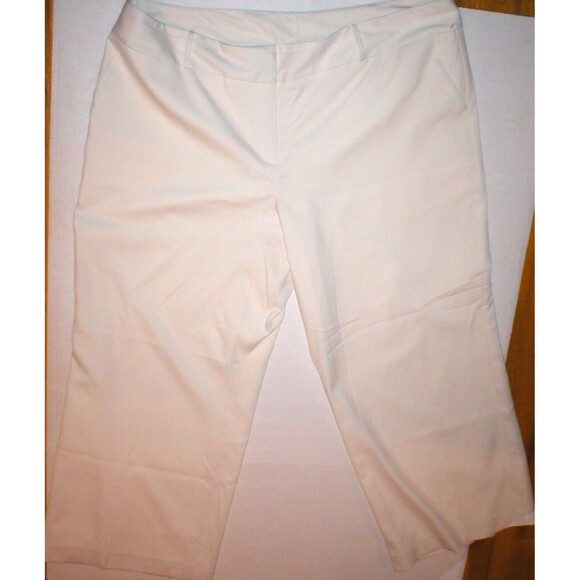New Lane Bryant Womens 28 Off White Cream Pants Nice Office Work Lined Plus Ivor - Picture 1 of 5